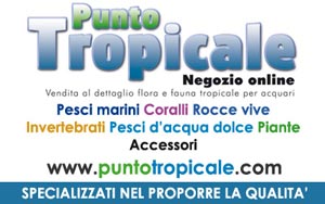 Puntotropicale.com - vendita al dettaglio flora e fauna tropicale per acquari