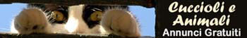 http://www.cucciolianimali.com/