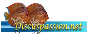 Discuspassion.net