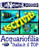 Iscriviti alla Mailing List di AcquariofiliaItalia.it - La News Letter viene inviata mensilmente
