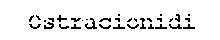 OSTRACIONIDI - Pesci di Mare -