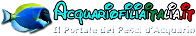 AcquariofiliaItalia.it