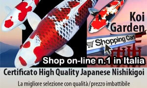 KOI GARDEN la più grande scelta di carpe koi in Italia, pompe, filtri da laghetto e accessori al miglior prezzo!