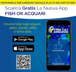app store fishok apple android scarica