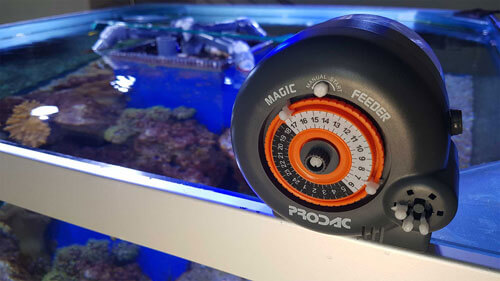Mangiatoia automatica acquario - PRODAC iNTERNATIONAL Magic Feeder