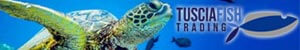 Tuscia Fish Trading - DAL 1991 SIAMO LEADER NAZIONALE NELLA VENDITA E DISTRIBUZIONE DI PESCI TROPICALI E ACCESSORI.
