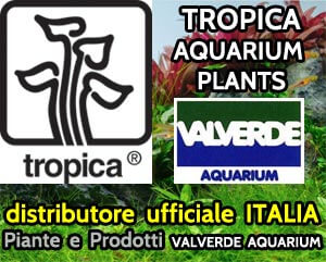 TROPICA AQUARIUM PLANTS distributore ufficiale ITALIA Piante e Prodotti: VALVERDE AQUARIUM