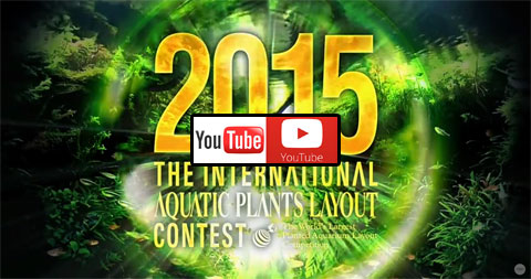 The International Aquatic Plants Layout Contest 2015