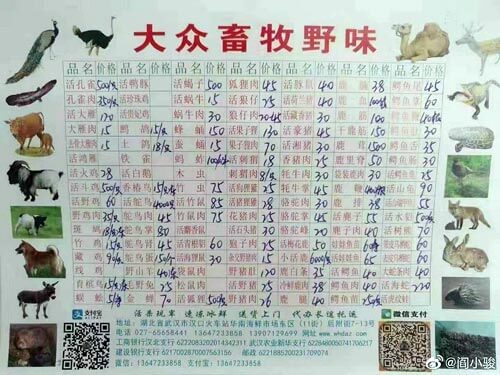 coronavirus animali coinvolti cina Wuhan