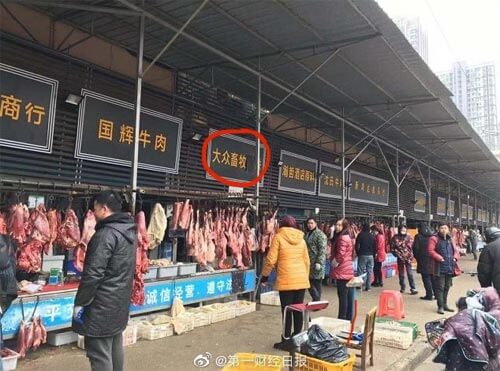 coronavirus mercato animali coinvolti cina Wuhan