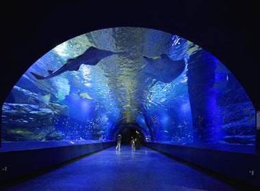 epson shinagawa aquarium