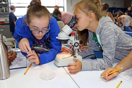 students investigate plankton microscopic creatures
