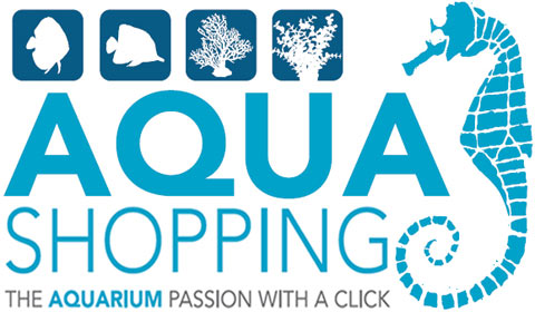AQUASHOPPING il primo vero OUTLET DELL’ACQUARIO in Italia ed in Europa www.aquashopping.it
