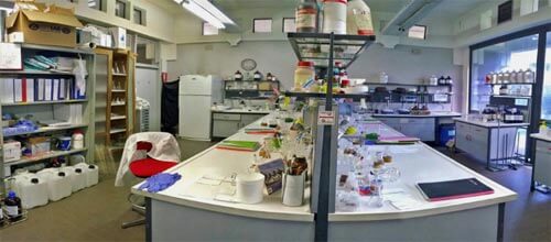 OTTAVI ACQUARI - nuovo laboratorio di ricerca e sviluppo affiancato dalla nuova serra di acquari per la stabulazione di pesci tropicali d’acqua dolce e marina e piante acquatiche
