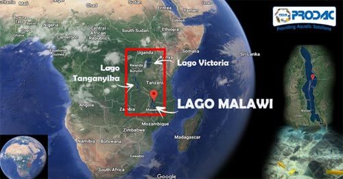 LAGO DI TANGANYKA - LAGO DI MALAWI - LAGO VICTORIA