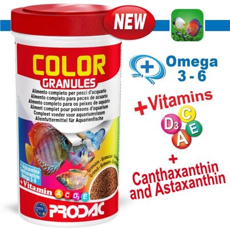 color granules PRODAC alimento completo per pesci acquario