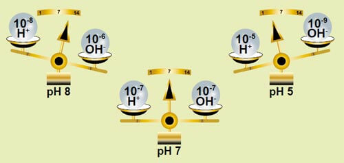 anidrite carbonica valore ph schema co2