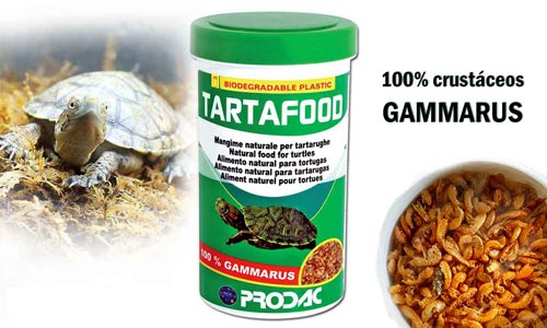 tarta food prodac mangime per tartarughe