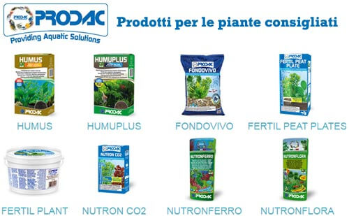prodotti per le piante acquario consigliati PRODAC