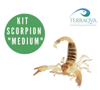 kit scorpion medio scorpione