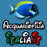 AcquariofiliaItalia.it il Portale dei Pesci d'Acquario