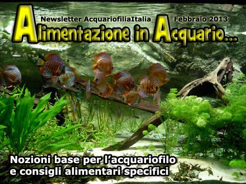 ALIMENTAZIONE IN ACQUARIO, Nozioni base per l’acquariofilo e consigli alimetari specifici, Del Dr. Enzo Alibrandi