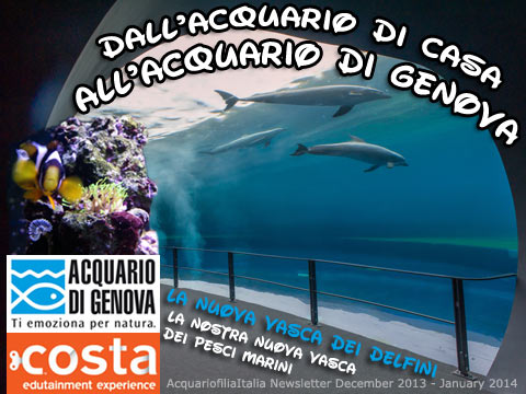 Newsletter dicembre 2013 - gennaio 2014 - Dall'acquario di casa all'acquario di Genova