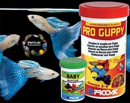 prodac pro guppy food fish aquarium