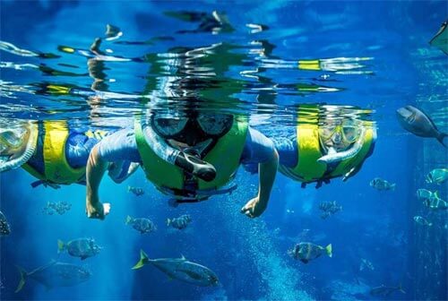 snorkeling resort atlantis the palm dubai