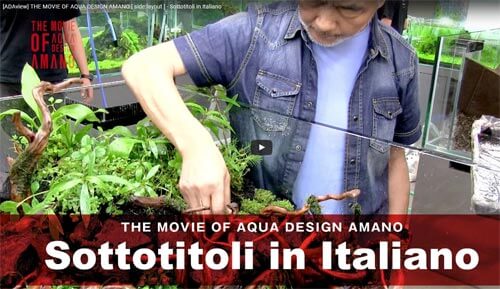 the movie of aqua design amano italian