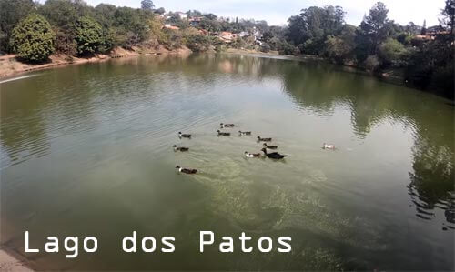 Il Lago dos Patos venezuela dove vive il poecilide endler wingei
