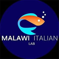 malawi italia lab banner