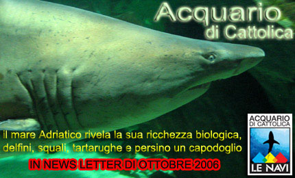 Acquario di Cattolica Delfini Squali