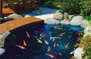 Laghetto Miniatura Per Giardino Delle Fate Con Carpe Koi - Decorazione Resina - Foto 13